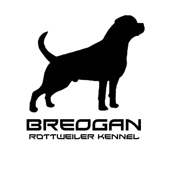 la imagen que se muestra en nusrtro logo, indica las proporciones que debe tener un buen ejemplar de rottweiler
