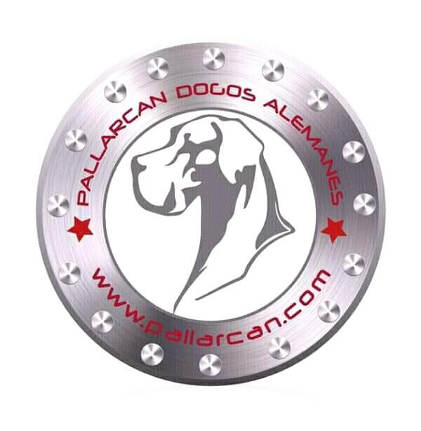 Logotipo Pallarcan Dogos Alemanes