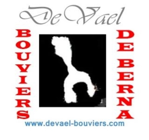 DeVael Bouviers Logotip