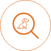 Recomendador de mascotas en Busco4patas