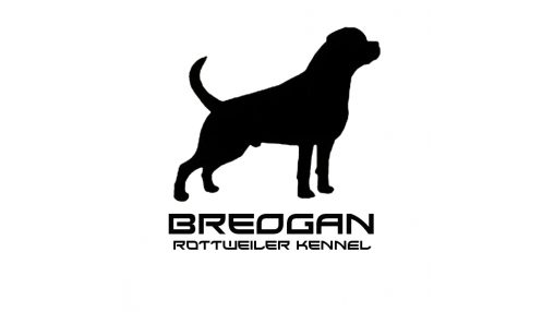 la imagen que se muestra en nusrtro logo, indica las proporciones que debe tener un buen ejemplar de rottweiler