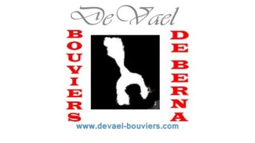 DeVael Bouviers Logotip