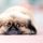 Pekinés